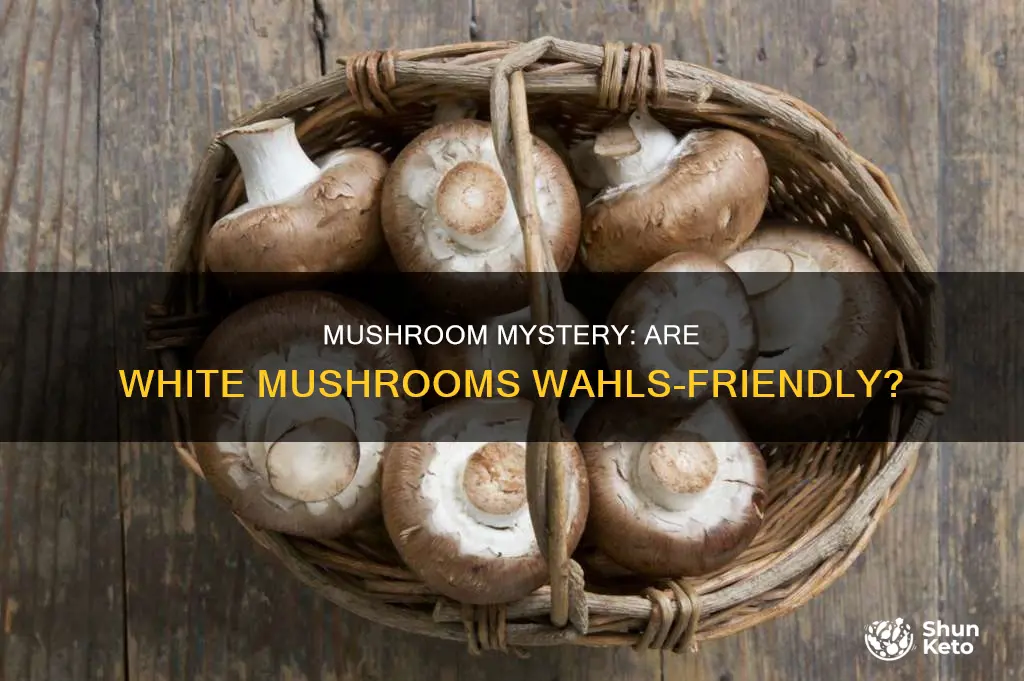 are white mushrooms ok for wahls diet plan