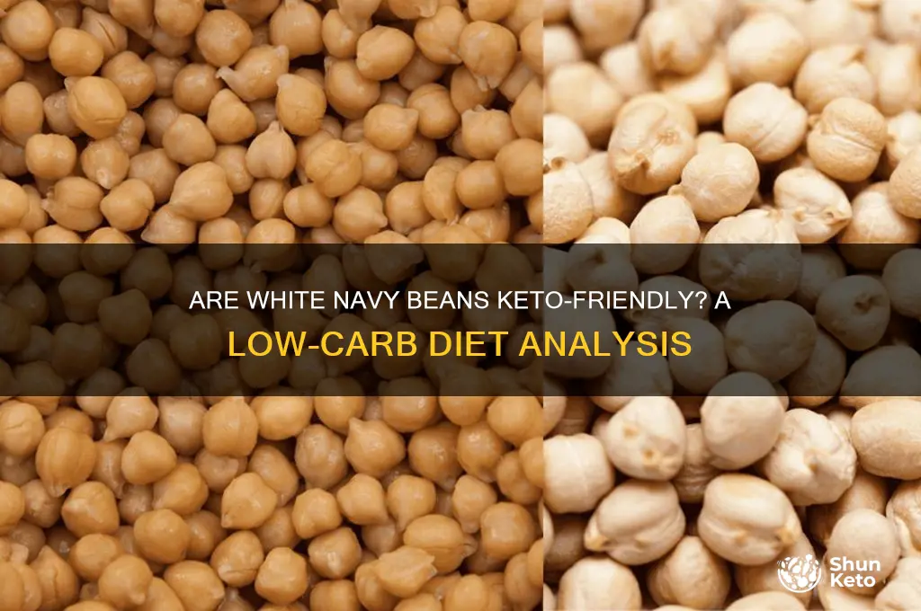are white navy beans keto