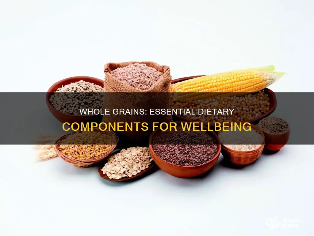 are whole grains an important part of diet