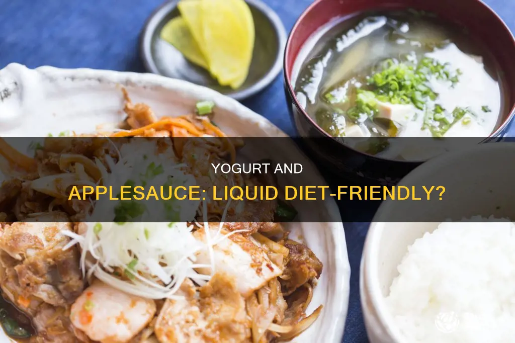 are yogurt or applesauce part of a liquid diet