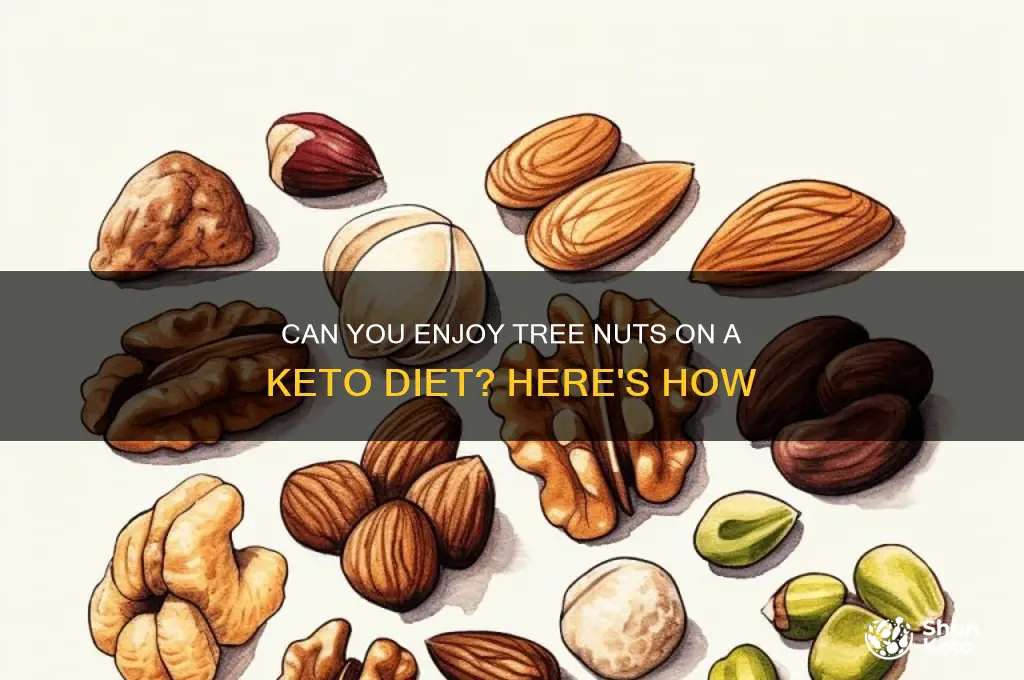 are you able to have tree nuts on keto diet