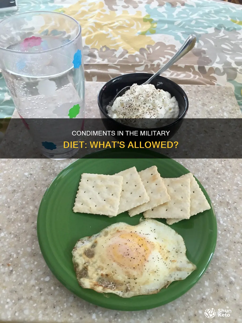 are you allowed condimetns on the military diet