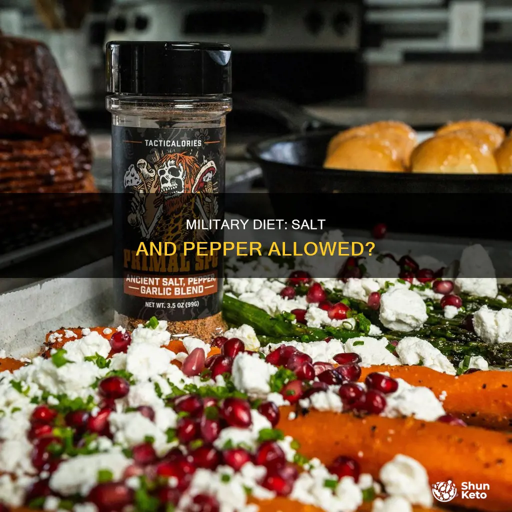 are you allowed salt and pepper on the military diet