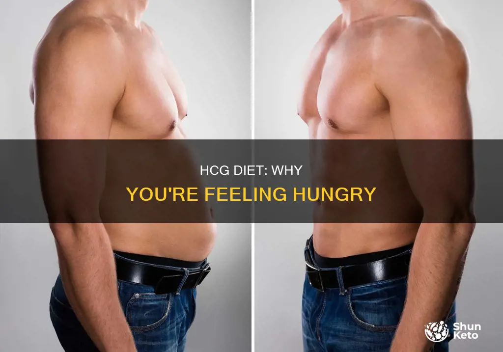 are you hungry on hcg diet