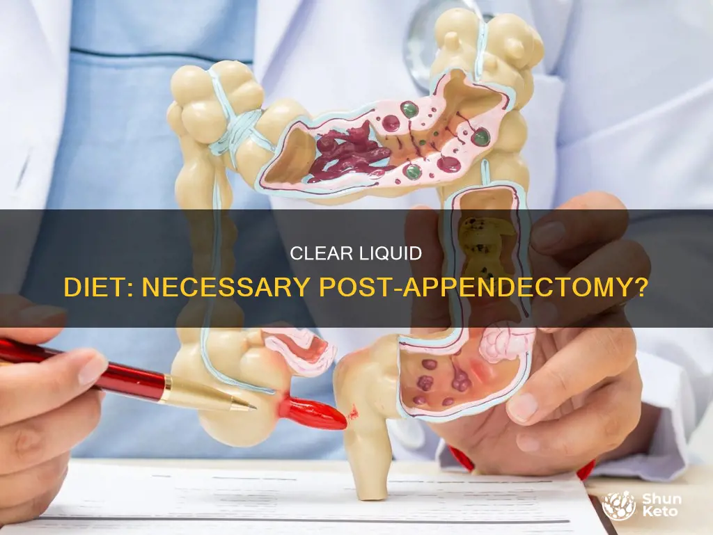 are you on a clear liquid diet post appendectomy