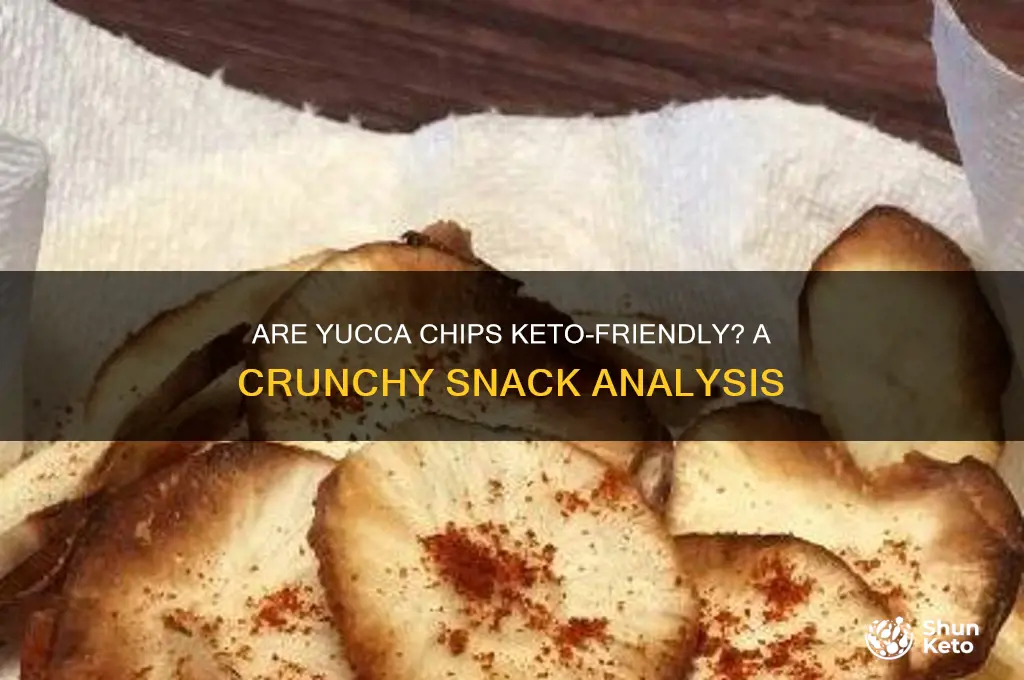 are yucca chips keto