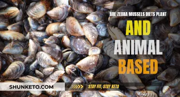 Zebra Mussels' Unique Diet: Plant and Animal Sources