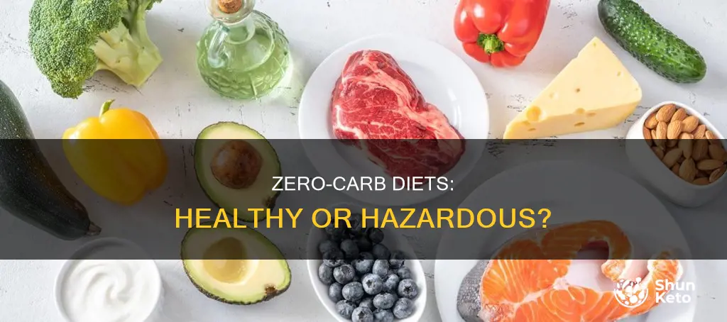 are zero carb diet plans safe