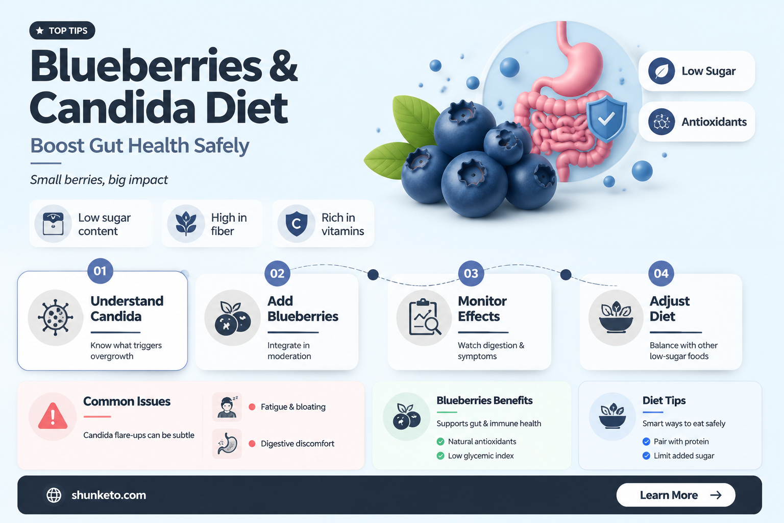 are blueberries ok for candida diet