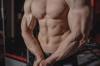 body