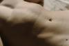 body