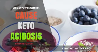 Blueberries and Keto: Can 2 Cups Trigger Ketoacidosis?