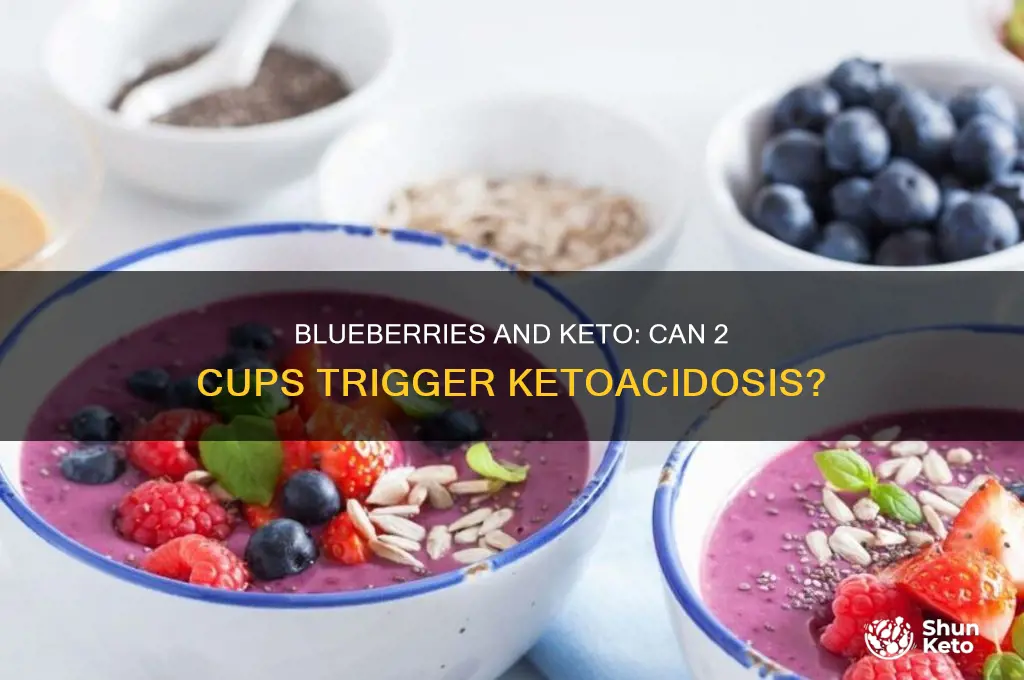 can 2 cups of blueberries cause keto acidosis