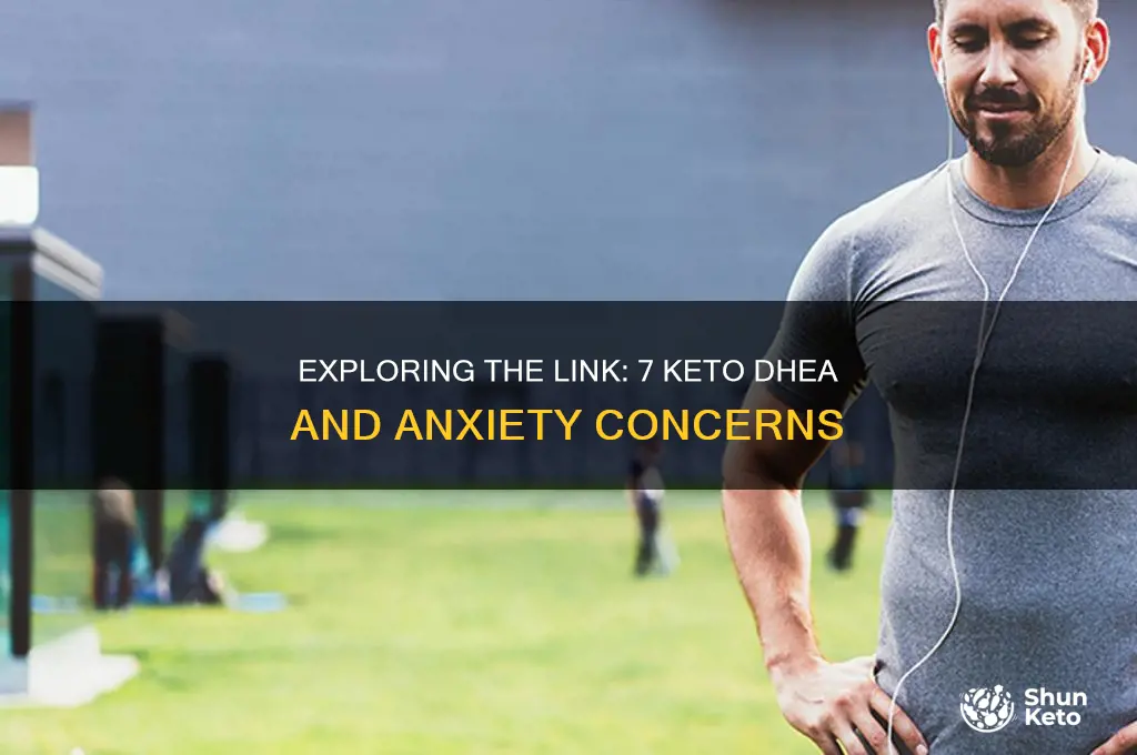 can 7 keto dhea cause anxiety