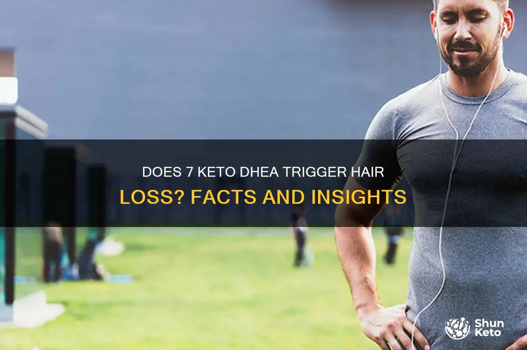 can 7 keto dhea cause hair loss