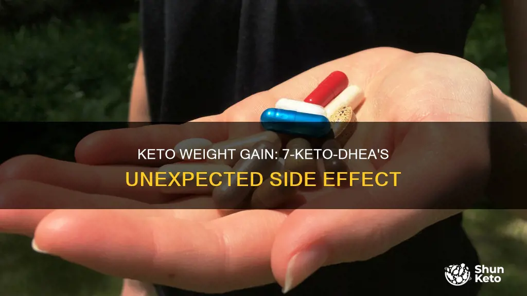 can 7 keto dhea cause weight gain