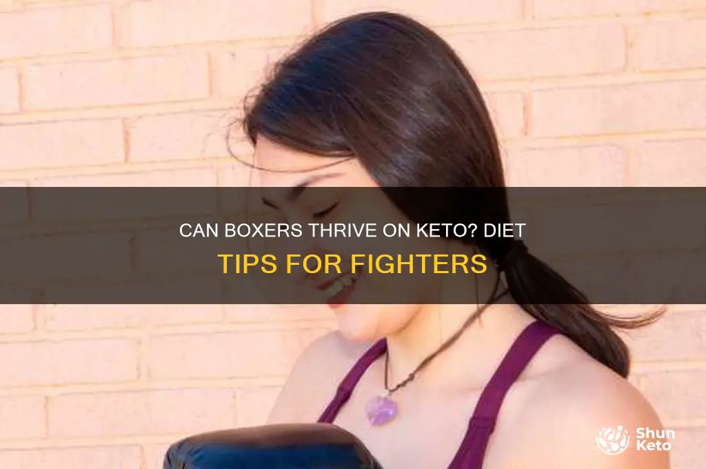 can a boxer do keto diet