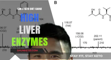 Keto Diet and Liver Health: Understanding Elevated Enzyme Concerns