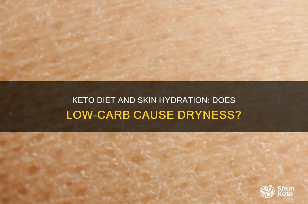 can a keto diet dry out your skin