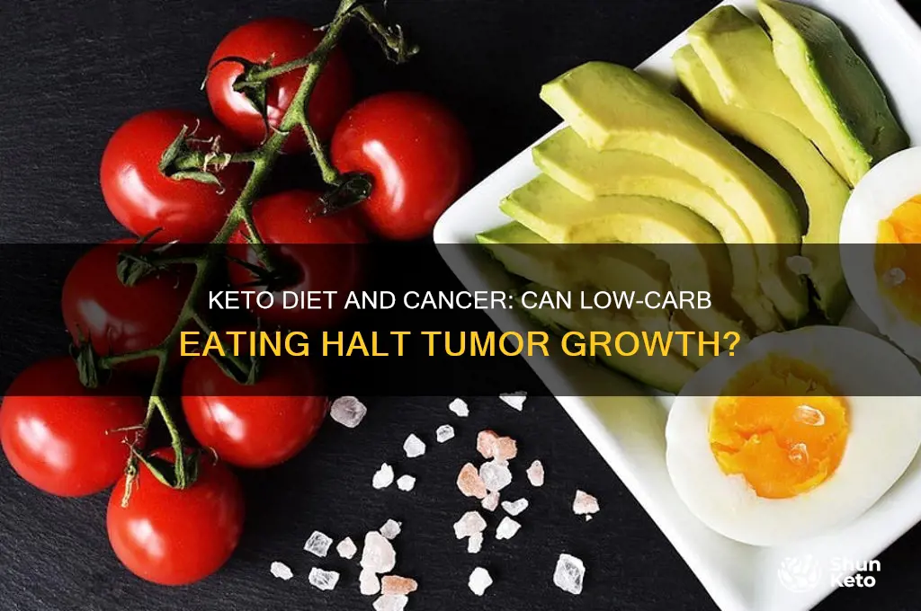 can a keto diet eliminate cancer growth