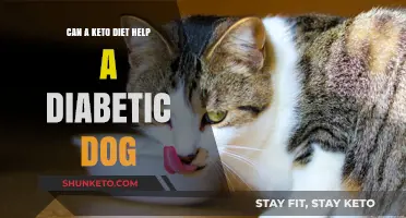 Keto Diet for Diabetic Dogs: Benefits, Risks, and Considerations