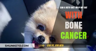 Keto Diet for Cats: Potential Benefits for Bone Cancer Treatment