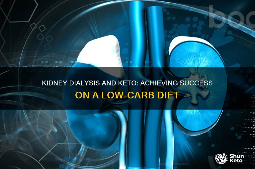 can a person on kidney dialysis do keto successful