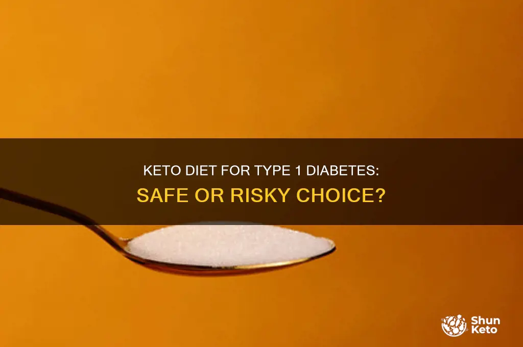 can a type 1 diabetic be on the keto diet