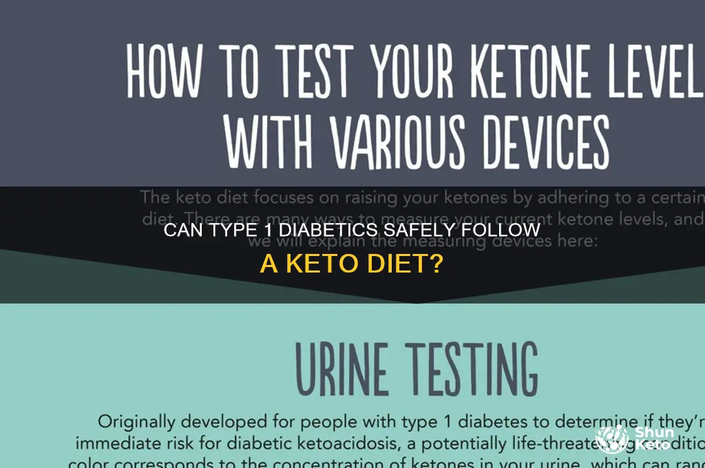 can a type i do a keto diet