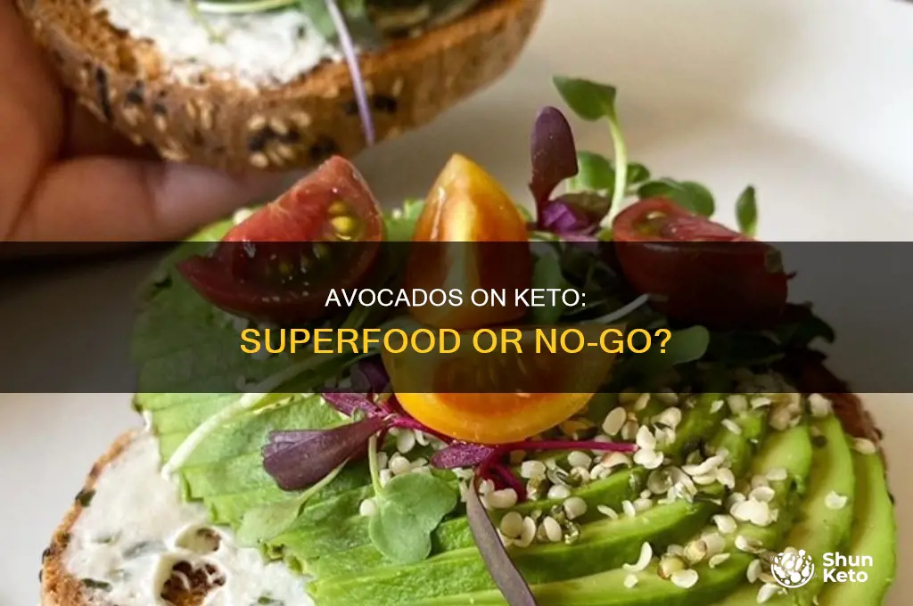 can avacados be eaten on the keto diet