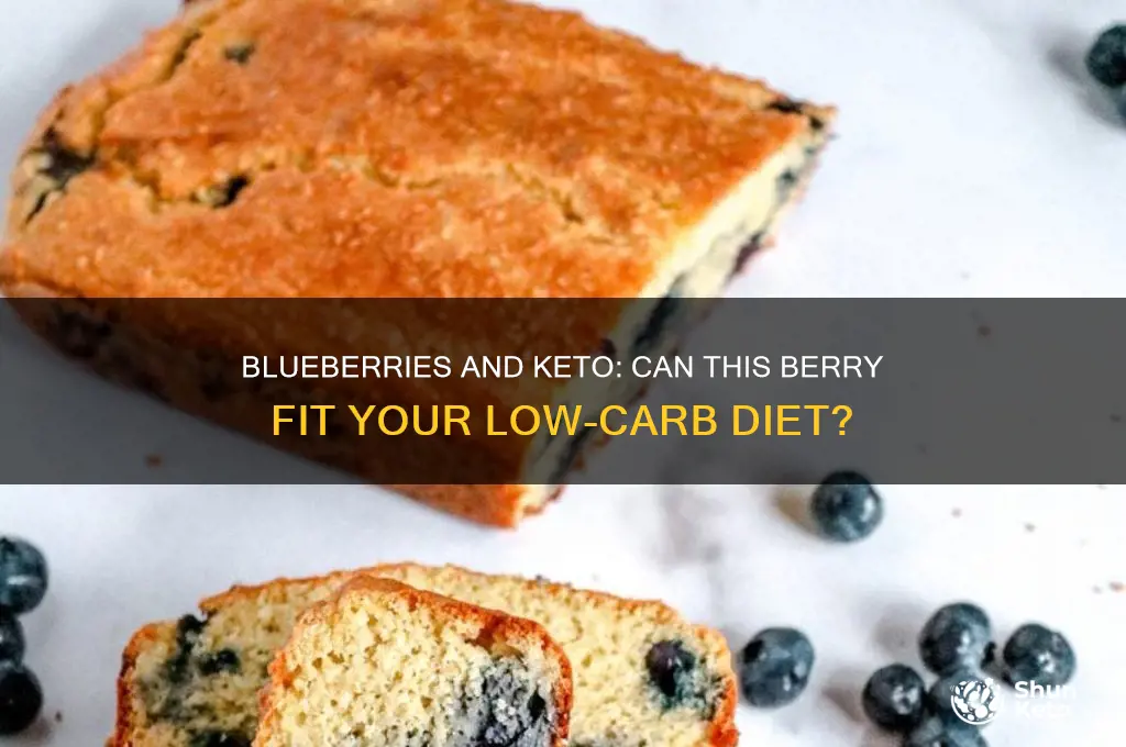 can blueberries be on the keto diet