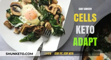 Can Cancer Cells Thrive on Keto? Exploring Metabolic Adaptation