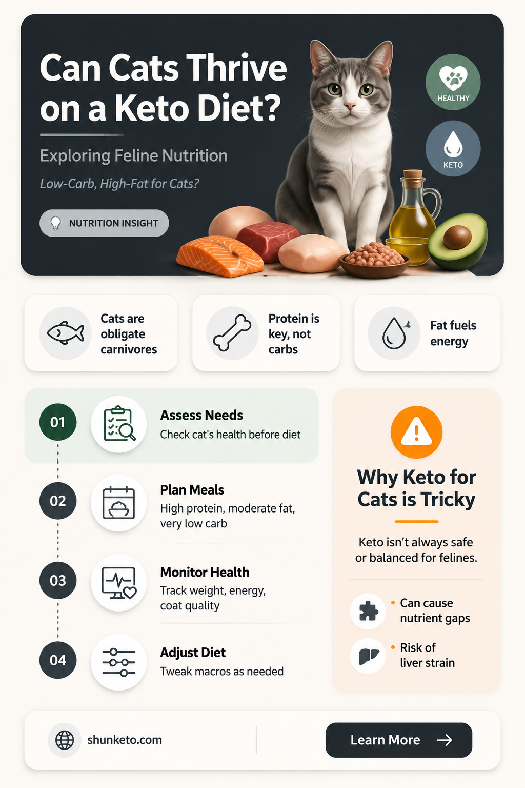are cats keto