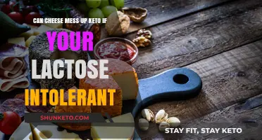 Cheese on Keto: Lactose Intolerance and Dietary Impact Explained