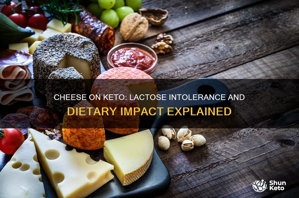 can cheese mess up keto if your lactose intolerant