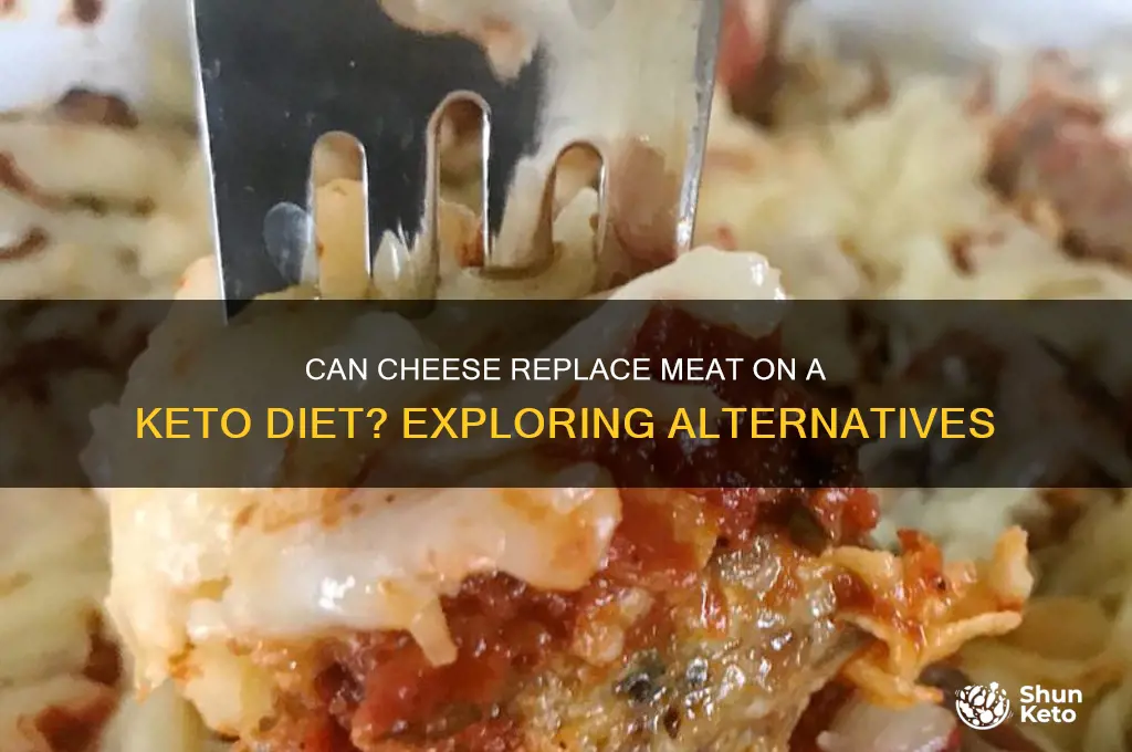 can cheese replace meat on keto doet