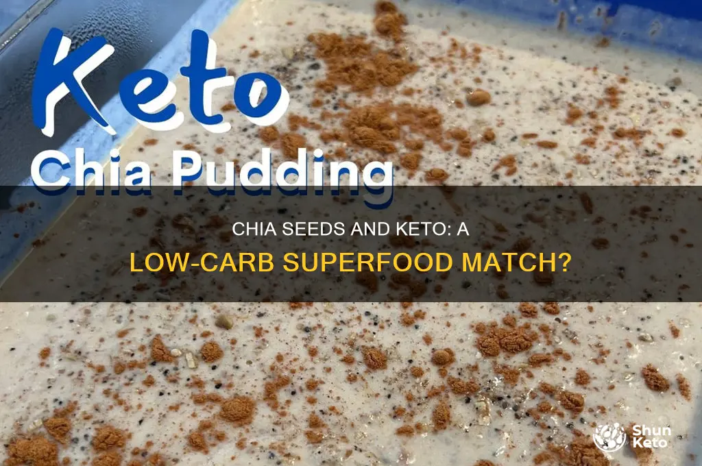 can chia seeds be used in keto diet