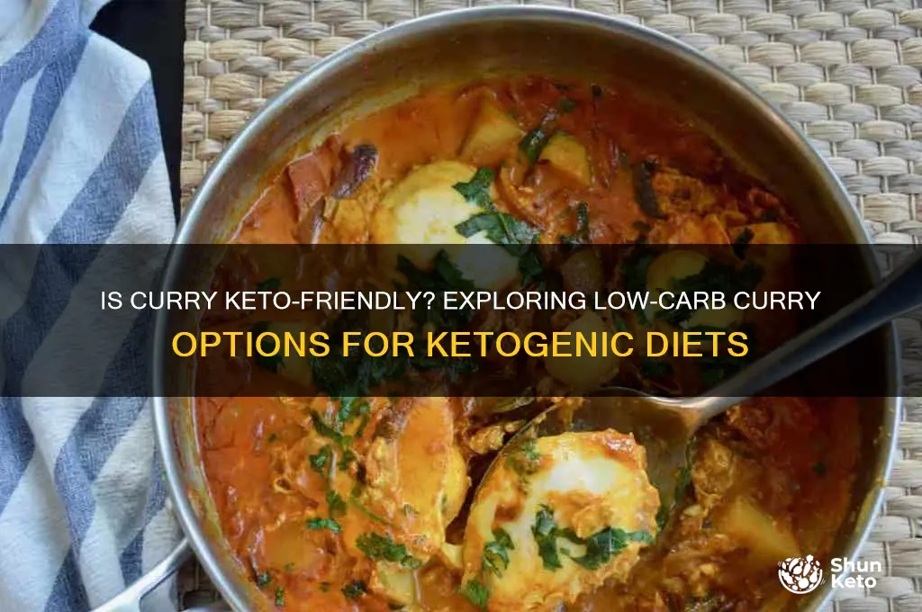 can curry be keto