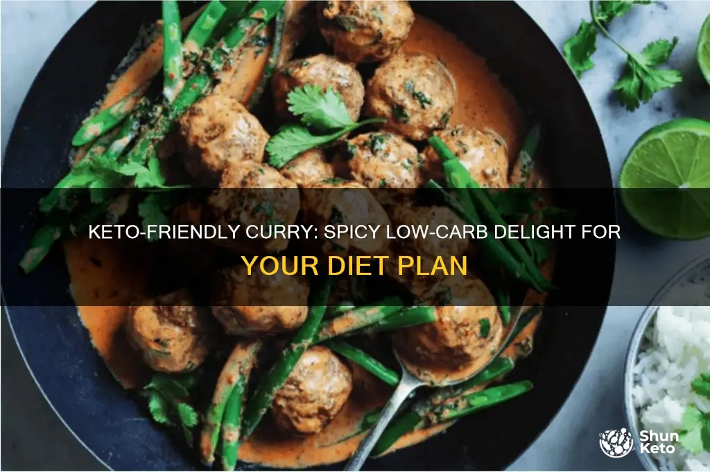 can curry be used in keto diets