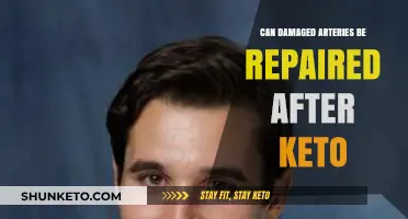 Repairing Damaged Arteries Post-Keto: Is Healing Possible After the Diet?
