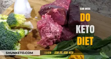 Can Dogs Safely Follow a Keto Diet? Expert Insights