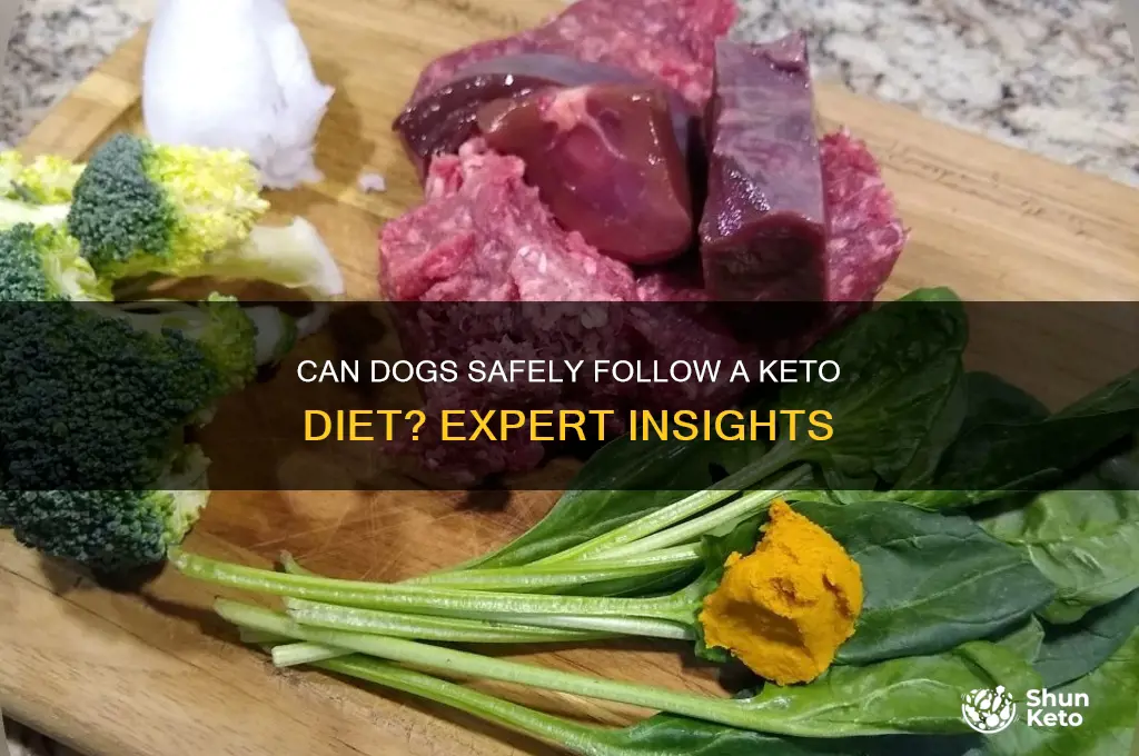 can dogs do keto diet