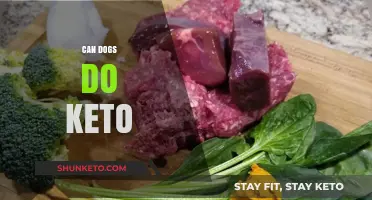 Can Dogs Safely Follow a Keto Diet? Expert Insights Revealed