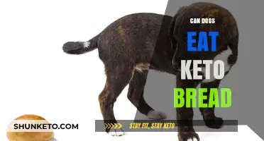 Can Dogs Eat Keto Bread?