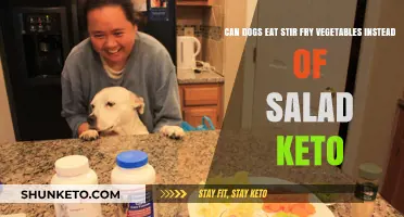 Dogs Eating Stir Fry Veggies: A Keto Alternative?