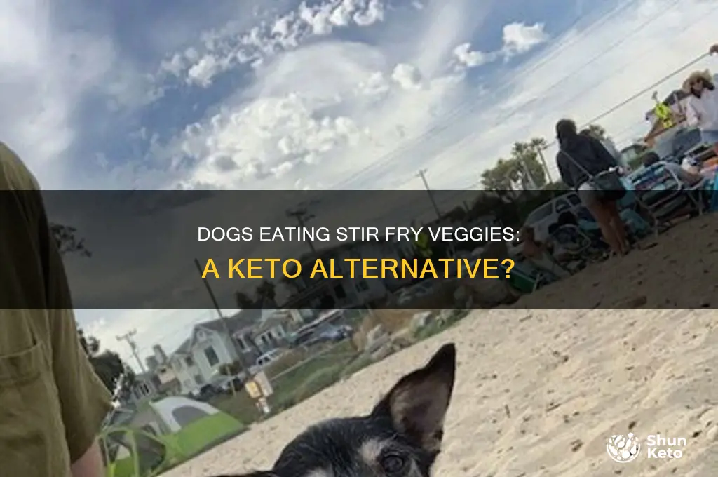 can dogs eat stir fry vegetables instead of salad keto