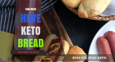 Can Dogs Eat Keto Bread? A Safe Snack Guide