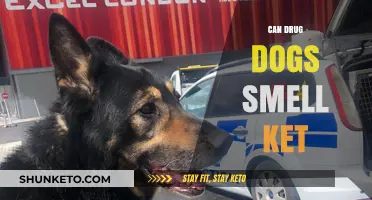 Can Drug Dogs Detect Ketamine? Uncovering the Truth About KET and Sniffer Dogs