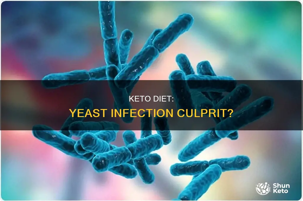 can eating keto cause yeast infection