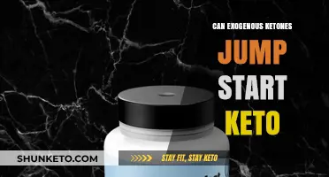 Can Exogenous Ketones Jump Start Your Keto Journey Effectively?